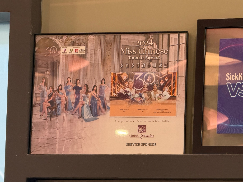 Guinness World Record and Newspaper Feature Display Plaques