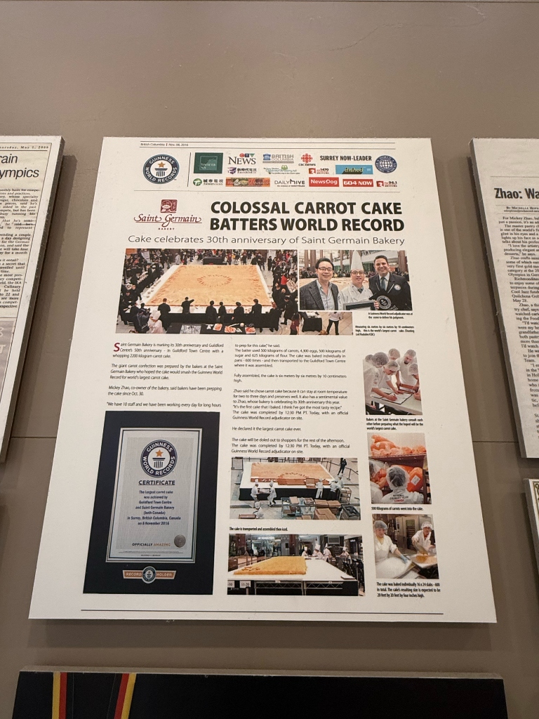 Guinness World Record and Newspaper Feature Display Plaques